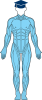 muskler figur helkropp examen