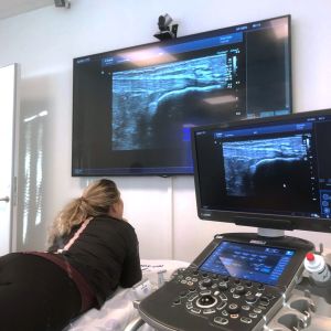 Hands-on A | Introduktion övre och nedre extremitet