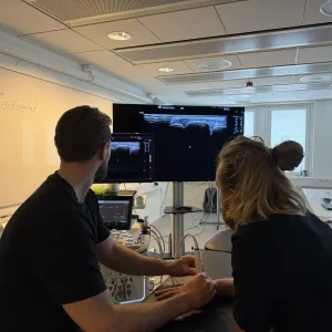 Utbildning av armbåge-underarm och hand