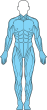 muskler figur helkropp